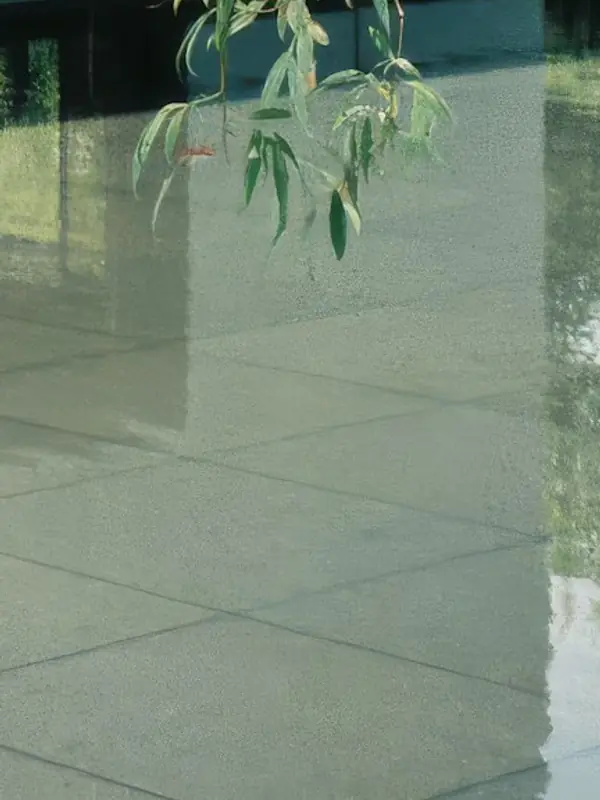 A pool surface reflecting the sky and leaves