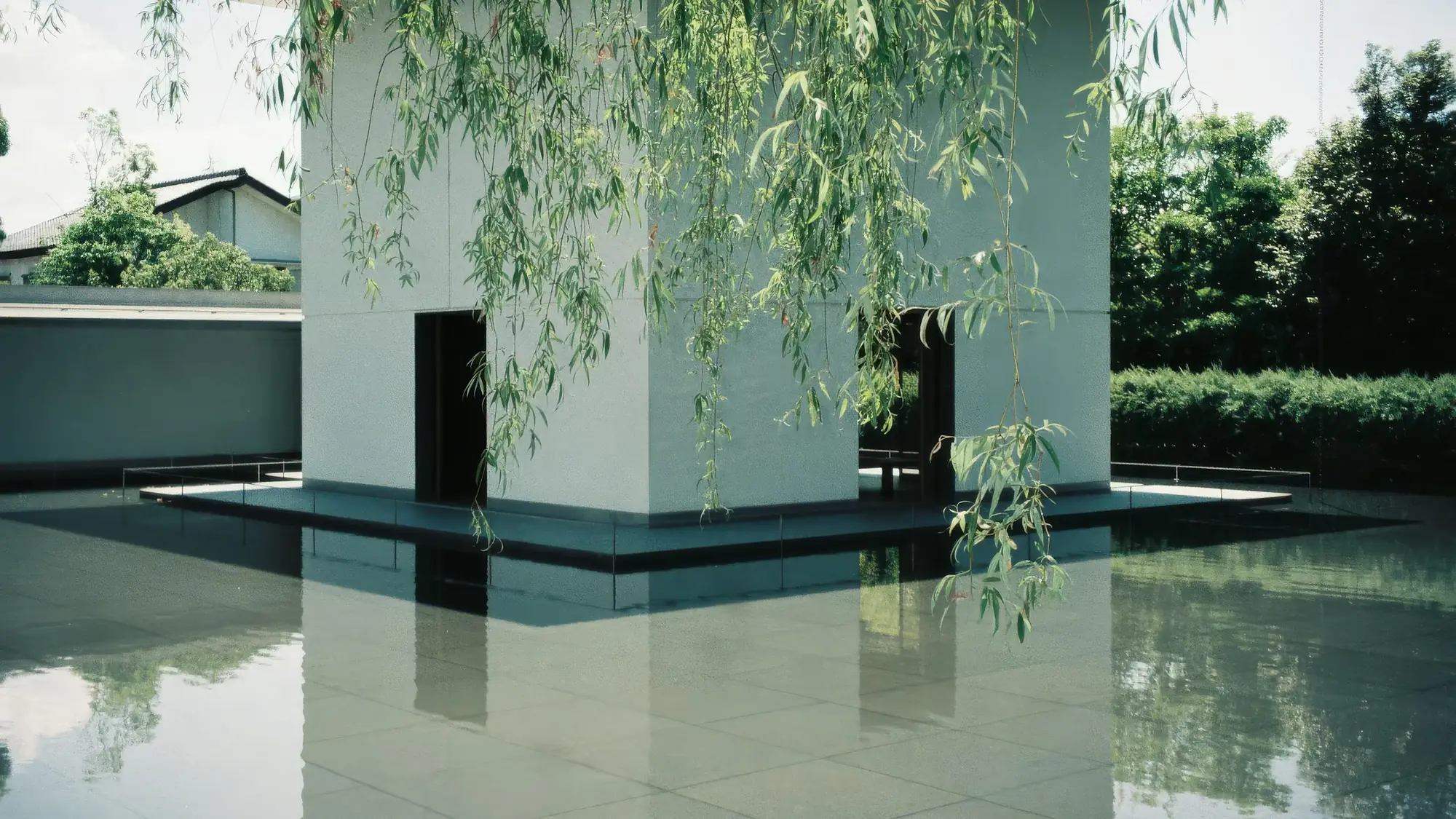 A white concrete pavilion in a shallow pool, shaded by a weeping willow