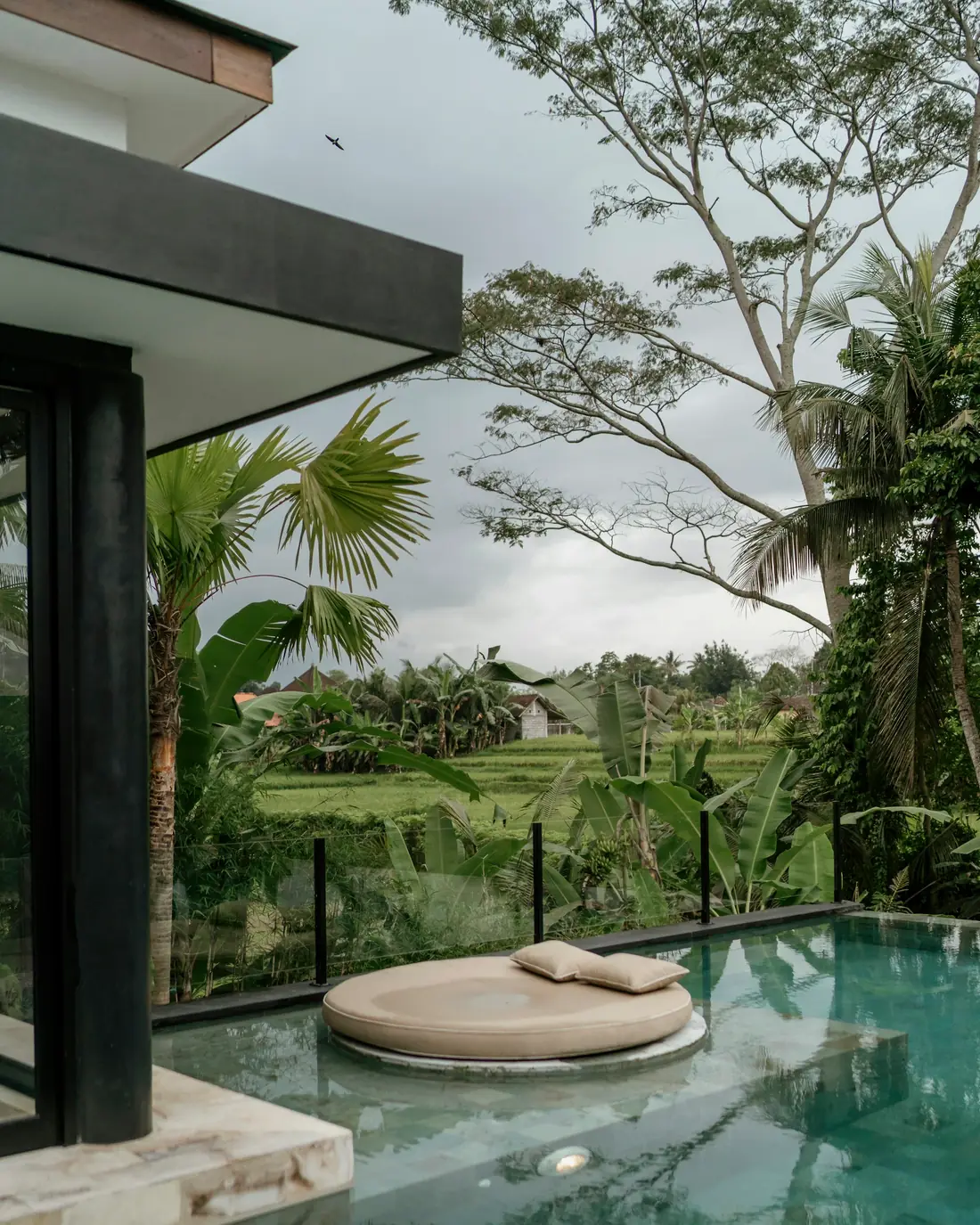 An infinity pool and daybed overlooking rice fields