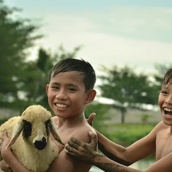 Two boys laughing with a lamb